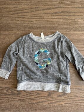 Rabbit Skins Gray Long Sleeve Tee with Colorful Embroidered 'G'